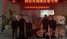 西安爆料高陵案件最新情况,西安警方披露关键细节