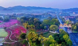 桃源最新爆料,最新爆料揭示神秘仙境的惊人真相